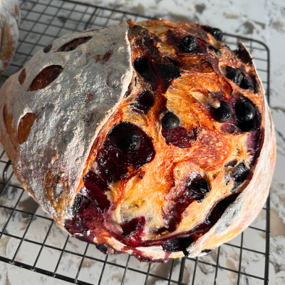 The Anna (Blueberry Lemon Zest Sourdough)