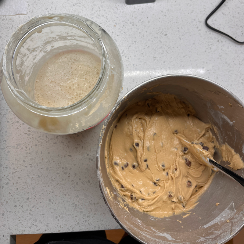 The Classic Cookie (Sourdough Chocolate Chip Cookies)