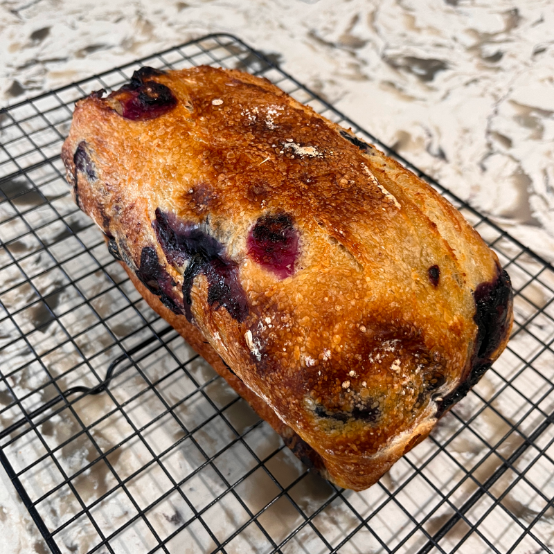 The Anna (Blueberry Lemon Zest Sourdough)