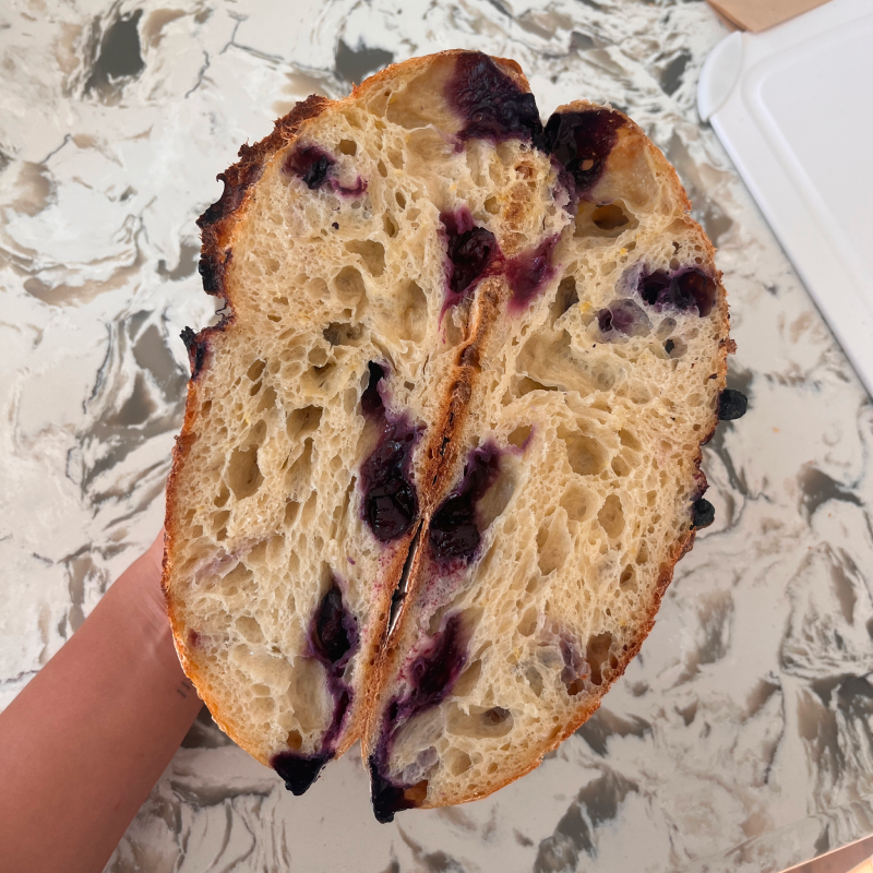 The Anna (Blueberry Lemon Zest Sourdough)