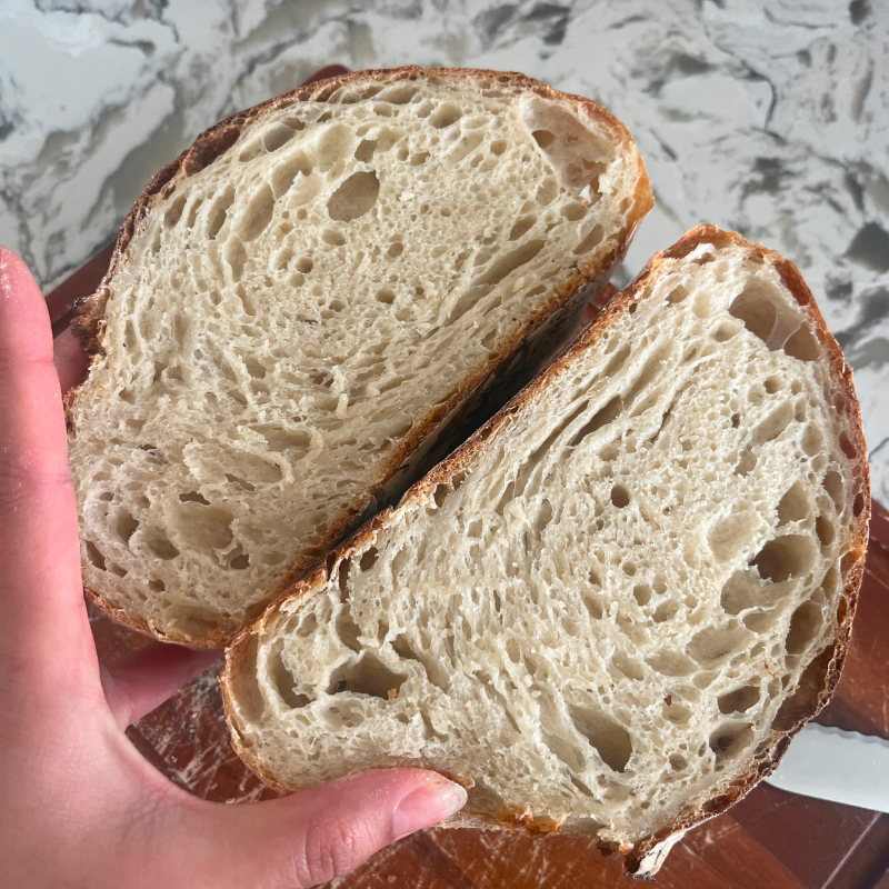 The OG Squish (Original Sourdough)