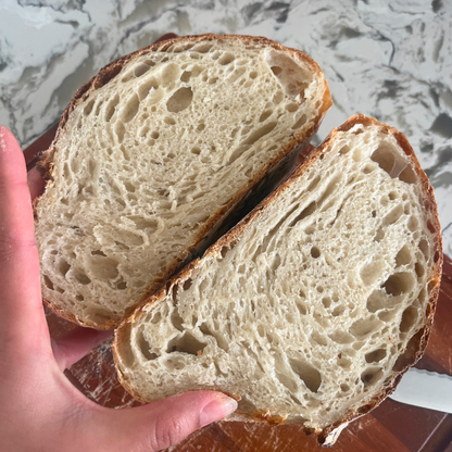 The OG Squish (Original Sourdough)